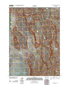 2011 Map of Locust Butte, 2011 Print