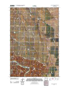 2011 Map of Locust Grove, 2011 Print
