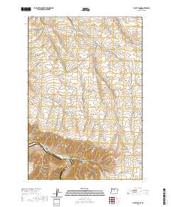 2020 Map of Locust Grove, 2020 Print