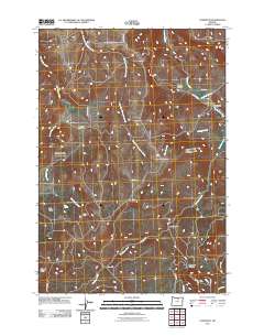 2011 Map of Lonerock, 2011 Print