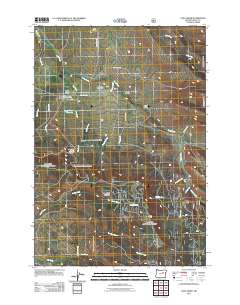 2011 Map of Long Creek, 2011 Print