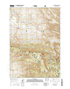 2014 Map of Long Creek, 2014 Print