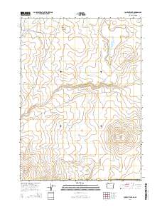 2014 Map of Lookout Lake, 2014 Print