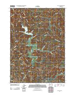 2011 Map of Loon Lake, 2011 Print