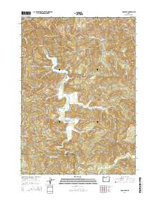 2014 Map of Loon Lake, 2014 Print