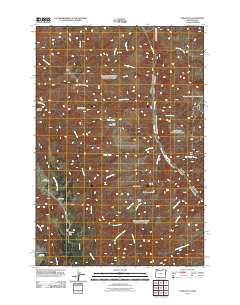 2011 Map of Lord Flat, 2011 Print