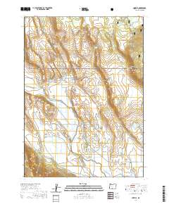 2020 Map of Lorella, 2020 Print