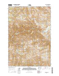 2014 Map of Lost Basin, 2014 Print