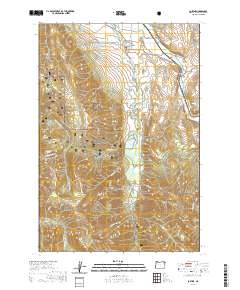 2020 Map of Lostine, 2020 Print