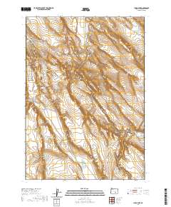 2020 Map of Lunch Lake, 2020 Print