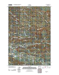 2011 Map of Lyons, 2011 Print
