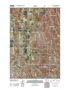 2011 Map of Madras East, 2011 Print