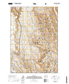 2020 Map of Madras East, 2020 Print