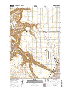 2014 Map of Madras West, 2014 Print
