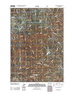 2011 Map of Magone Lake, 2011 Print