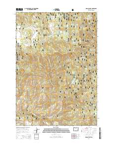 2014 Map of Magone Lake, 2014 Print