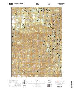 2020 Map of Magone Lake, 2020 Print