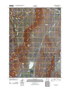 2011 Map of Mann Lake, 2011 Print