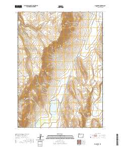 2020 Map of Mann Lake, 2020 Print