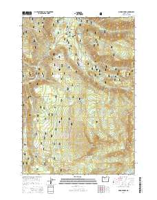 2014 Map of Marion Forks, 2014 Print