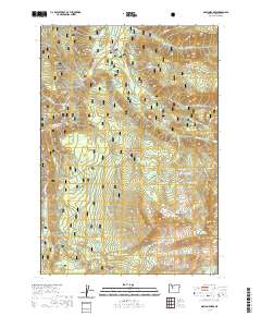 2020 Map of Marion Forks, 2020 Print