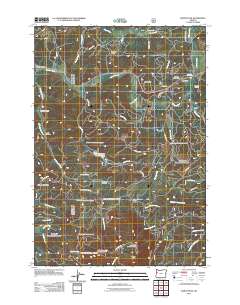 2011 Map of Marys Peak, 2011 Print