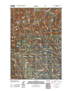 2011 Map of Matlock Prairie, 2011 Print