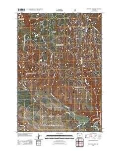 2011 Map of McIntyre Creek, 2011 Print