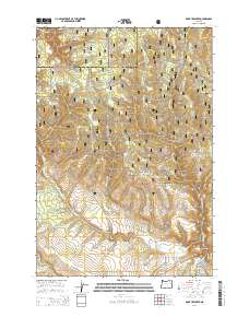 Thumbnail JPG image of map