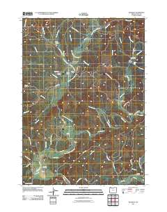 2011 Map of McKinley, 2011 Print