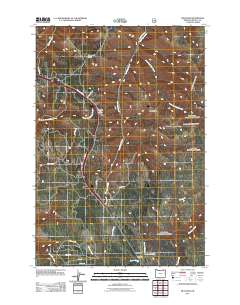 2011 Map of Meacham, 2011 Print