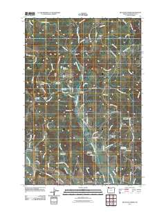 2011 Map of Meacham Corner, 2011 Print