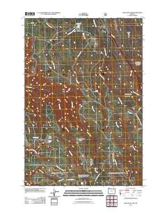 2011 Map of Meacham Lake, 2011 Print