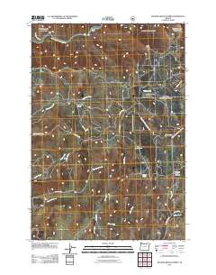 2011 Map of Meadow Brook Summit, 2011 Print