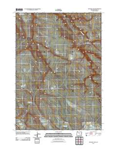 2011 Map of Meadow Lake, 2011 Print