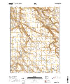 2020 Map of Meadow Lake, 2020 Print