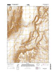 2014 Map of Mickey Springs, 2014 Print