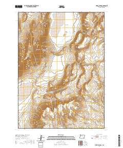 2020 Map of Mickey Springs, 2020 Print