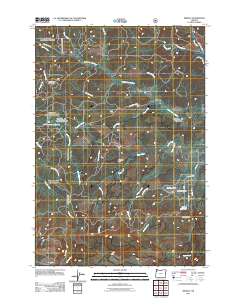 2011 Map of Midway, 2011 Print