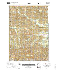 2020 Map of Midway, 2020 Print