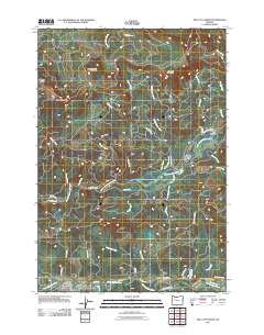2011 Map of Mill City North, 2011 Print