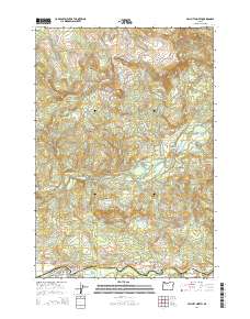 2014 Map of Mill City North, 2014 Print