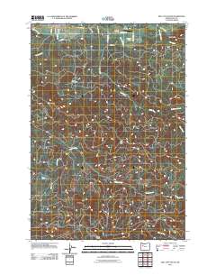 2011 Map of Mill City South, 2011 Print