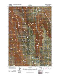 2011 Map of Miller Flat, 2011 Print