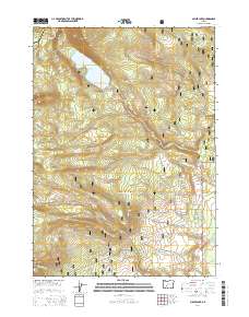 2014 Map of Miller Lake, 2014 Print