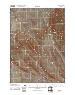 2011 Map of Millican, 2011 Print