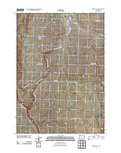 2011 Map of Misery Flat, 2011 Print