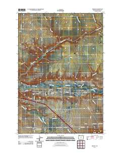 2011 Map of Mission, 2011 Print