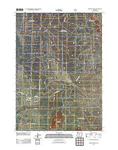 2011 Map of Moffitt Butte, 2011 Print