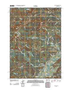 2011 Map of Mohawk, 2011 Print
